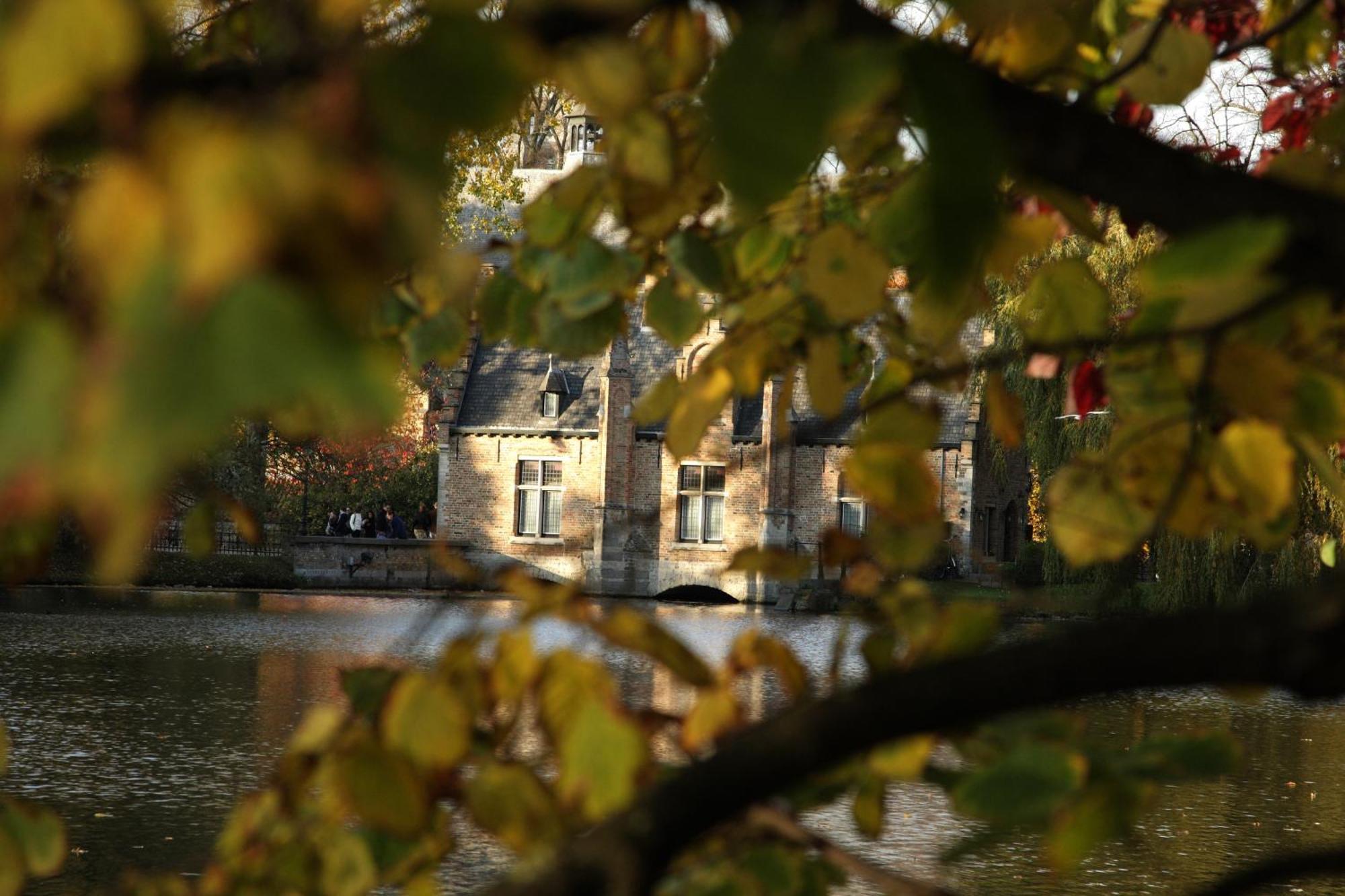 B&B Lievejan Jabbeke  Exteriör bild