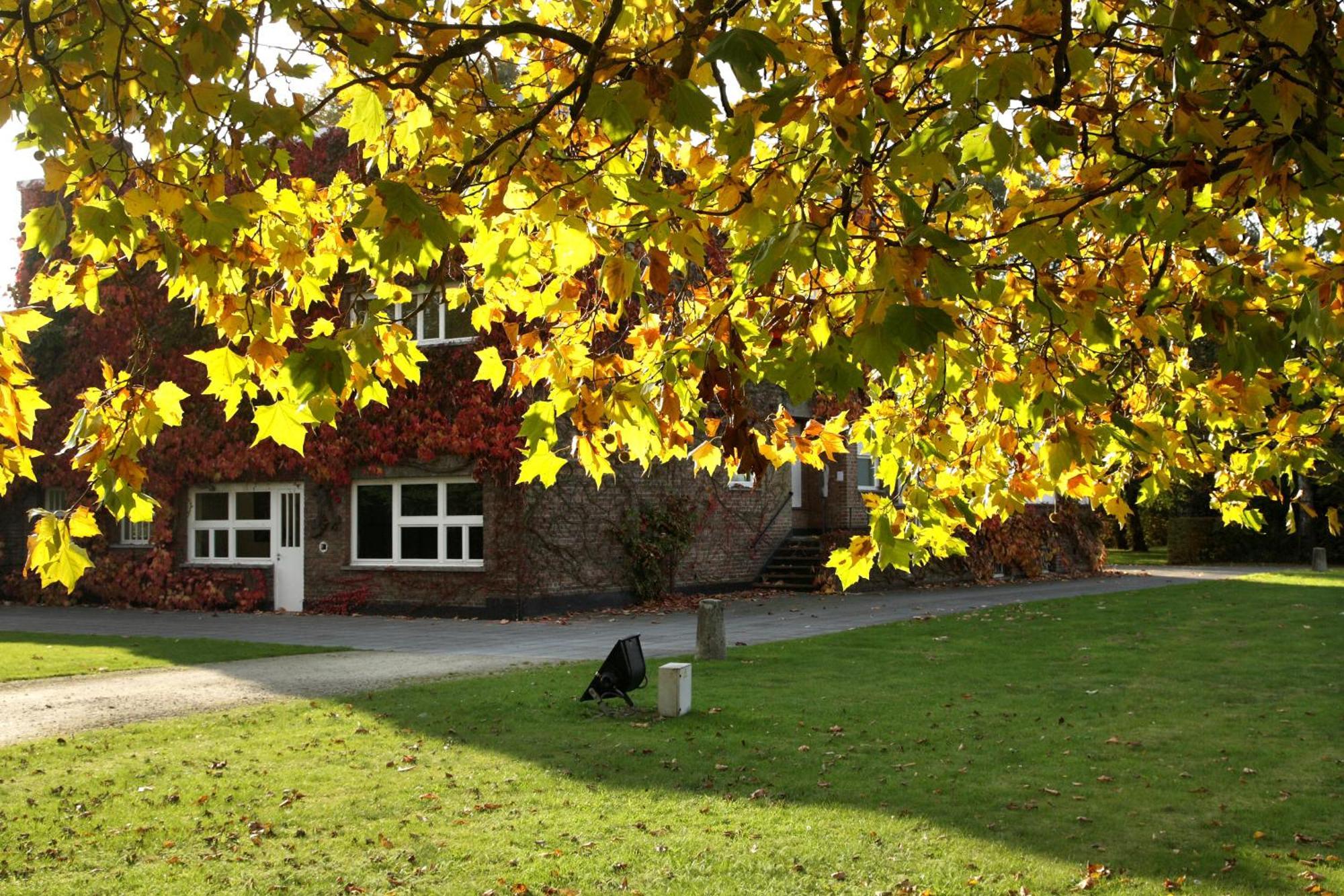 B&B Lievejan Jabbeke  Exteriör bild